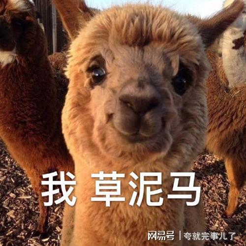 搞笑段子集錦一百一十八(圖2)