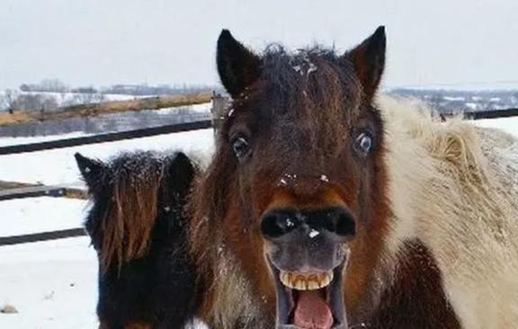 九游娛樂NineGame：笑話大全笑話：跟女朋友逛街我總會習慣性的調戲一下導購小妞