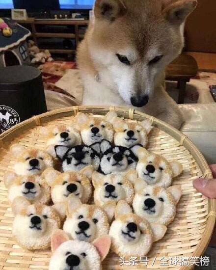 搞笑段子：不是我的發(fā)際線(xiàn)在后退而是我在前進(jìn)