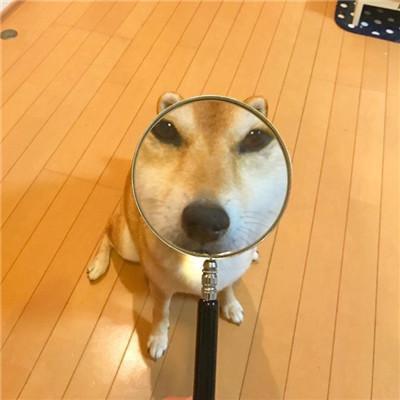 搞笑段子精選“何以解憂唯有暴富”(圖2)