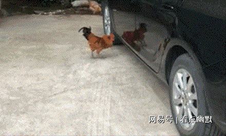 九游娛樂NineGame：冷笑話大全：其實櫻桃的味道也是很不錯啊螃蟹說(圖2)