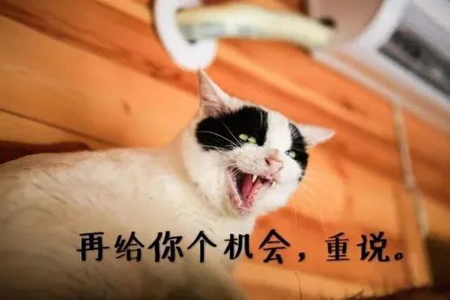 八大搞笑段子大全~精辟十足句句獲贊專治不開心系列！(圖4)