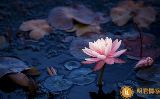 幽默脫口秀稿子一秒笑噴的段子