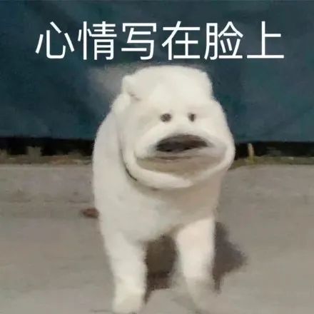 笑到淚崩的7條幽默段子詼諧又精辟看完直接笑哭(圖2)