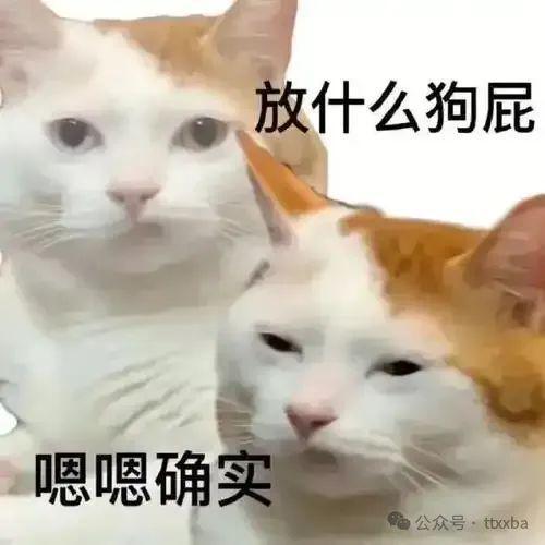 九游娛樂NineGame：糗事爆笑冷笑話老婆花巨資做了整容數天后變成美女回家進門時！(圖1)