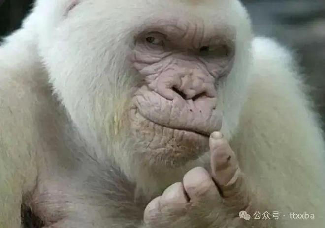 搞笑糗事經典爆笑冷笑話經典爆笑笑話集錦(圖1)