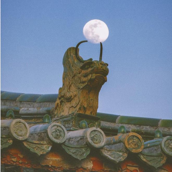 人生下半場脫口秀大爺“山山”而來(圖6)