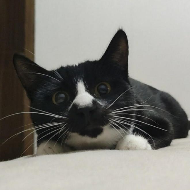 人生下半場脫口秀大爺“山山”而來(圖5)