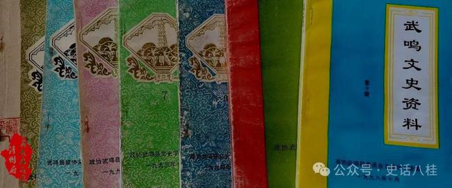 廣西人文：方志故事十五——戎馬書生修方志·民國武鳴縣志(圖4)