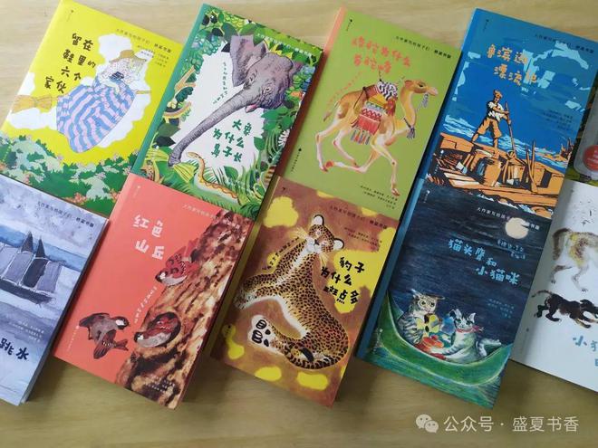 九游娛樂：精致小薄本文字和畫風都很贊是標標準準的橋梁書