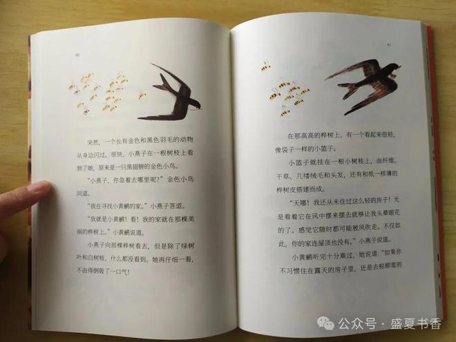 九游娛樂(lè)：精致小薄本文字和畫(huà)風(fēng)都很贊是標(biāo)標(biāo)準(zhǔn)準(zhǔn)的橋梁書(shū)(圖4)