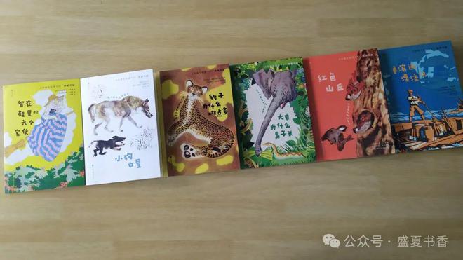 九游娛樂(lè)：精致小薄本文字和畫(huà)風(fēng)都很贊是標(biāo)標(biāo)準(zhǔn)準(zhǔn)的橋梁書(shū)(圖3)