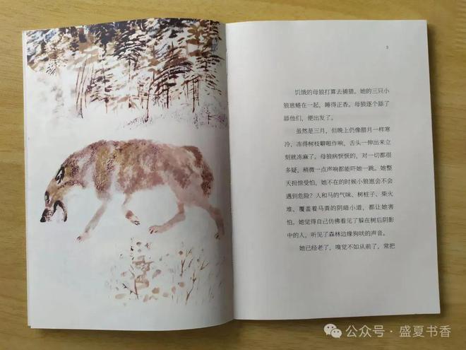 九游娛樂(lè)：精致小薄本文字和畫(huà)風(fēng)都很贊是標(biāo)標(biāo)準(zhǔn)準(zhǔn)的橋梁書(shū)(圖8)