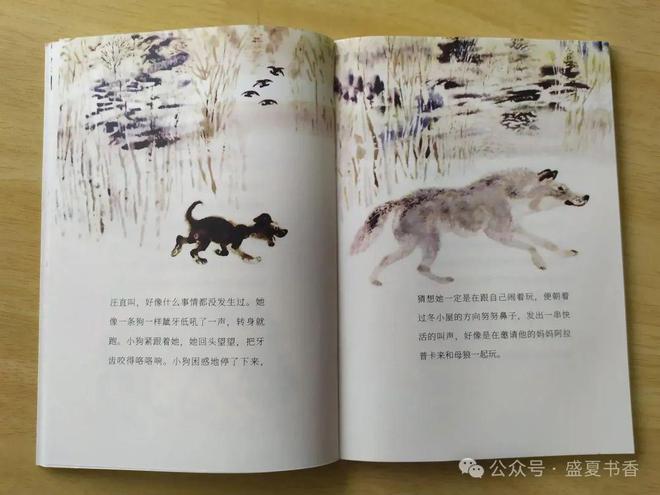 九游娛樂(lè)：精致小薄本文字和畫(huà)風(fēng)都很贊是標(biāo)標(biāo)準(zhǔn)準(zhǔn)的橋梁書(shū)(圖9)