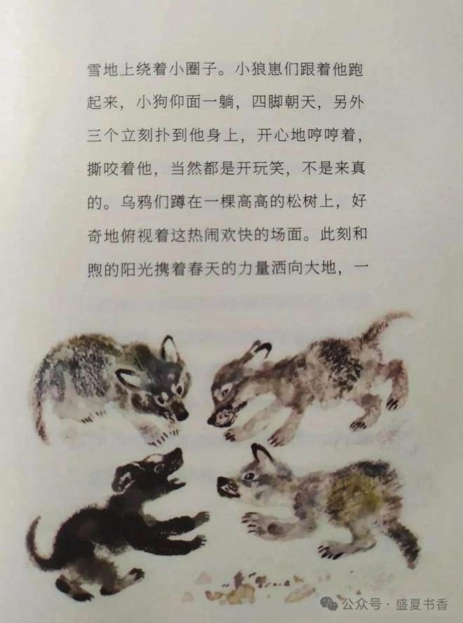 九游娛樂(lè)：精致小薄本文字和畫(huà)風(fēng)都很贊是標(biāo)標(biāo)準(zhǔn)準(zhǔn)的橋梁書(shū)(圖10)