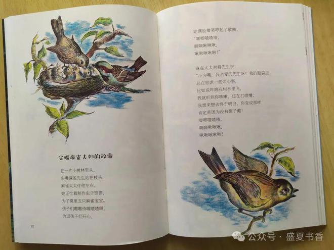 九游娛樂(lè)：精致小薄本文字和畫(huà)風(fēng)都很贊是標(biāo)標(biāo)準(zhǔn)準(zhǔn)的橋梁書(shū)(圖12)