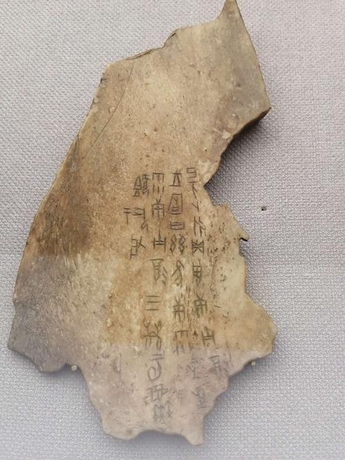 九游娛樂NineGame：“胄”和“冑”這兩個字你能分清嗎？用錯了很容易惹出笑話的(圖2)