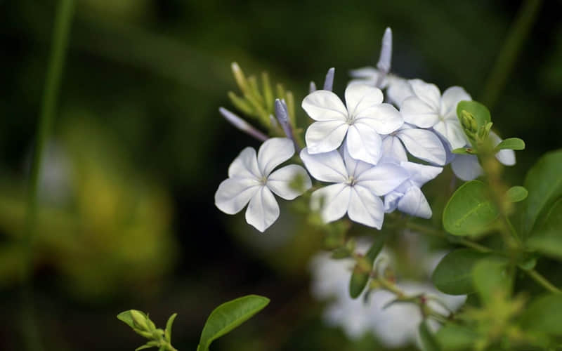 九游娛樂NineGame：“爆笑來襲10則笑話段子讓你開心一整天”(圖6)