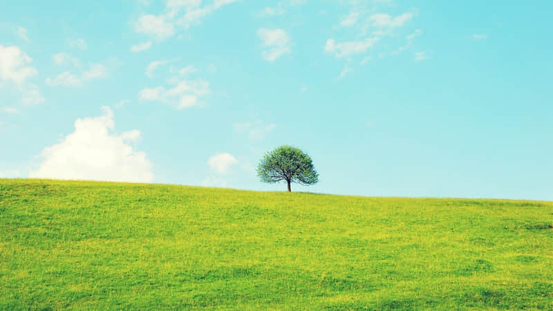 九游娛樂NineGame：“爆笑來襲10則笑話段子讓你開心一整天”(圖5)