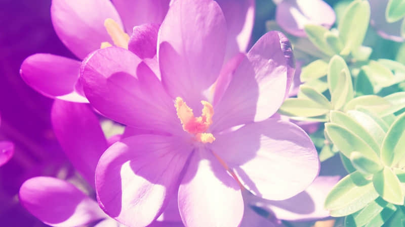 九游娛樂NineGame：“爆笑來襲10則笑話段子讓你開心一整天”