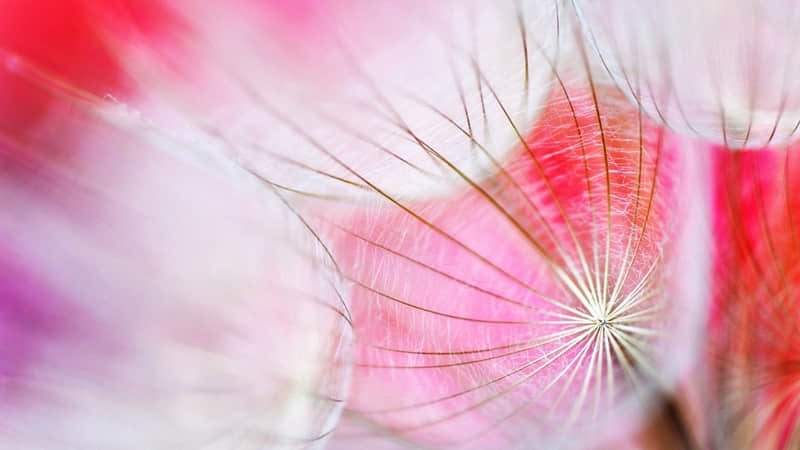 九游娛樂NineGame：“爆笑來襲10則笑話段子讓你開心一整天”(圖4)