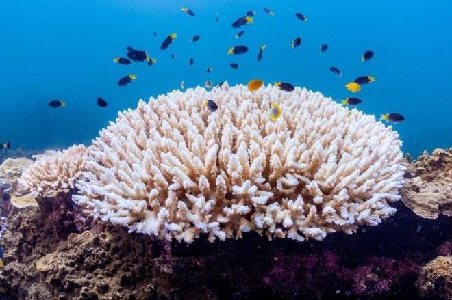 九游娛樂NineGame：29噸核廢液全排了！2025年剛開始韓國給了全世界當頭一棒(圖2)