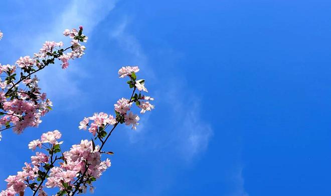 離婚時女人這3種看似解氣的選擇實則消耗自己(圖3)