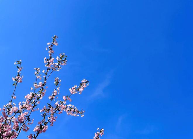 離婚時女人這3種看似解氣的選擇實則消耗自己