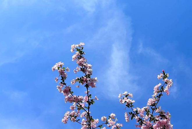 離婚時女人這3種看似解氣的選擇實則消耗自己(圖2)