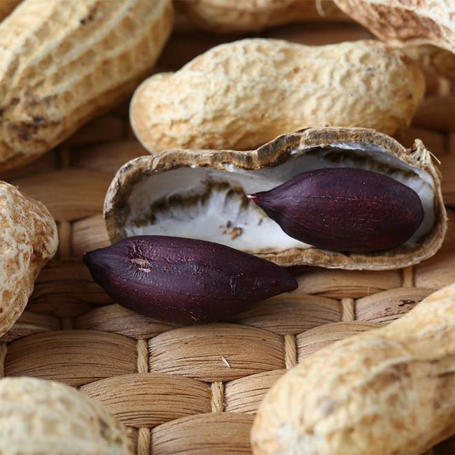 九游娛樂NineGame：十大冷門暴利種植(圖6)