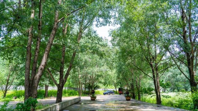 九游娛樂：低進(jìn)高出！鎮(zhèn)雄這所高中2024年秋季期末考試取得較大進(jìn)步！(圖5)