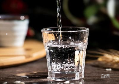 老外喝白酒哭了搞笑大全