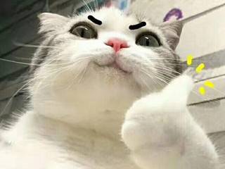 幽默段子22則笑料百出