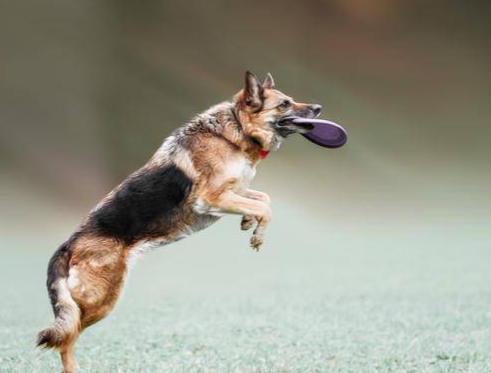 幽默段子22則笑料百出(圖3)