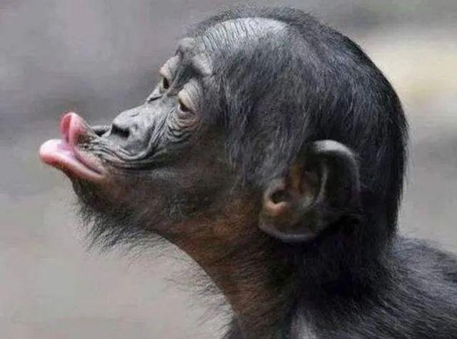 搞笑段子：精選8個幽默笑話段子每日笑一笑