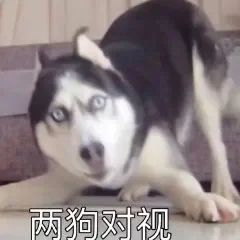 九游娛樂NineGame：【每日神回復】“和女友舌吻有什么好處？”沙雕網友神回復差點把我活活笑死！