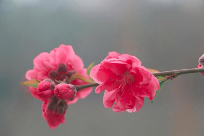 一個男人最大的愚蠢是把心機都用在了妻子身上(圖2)