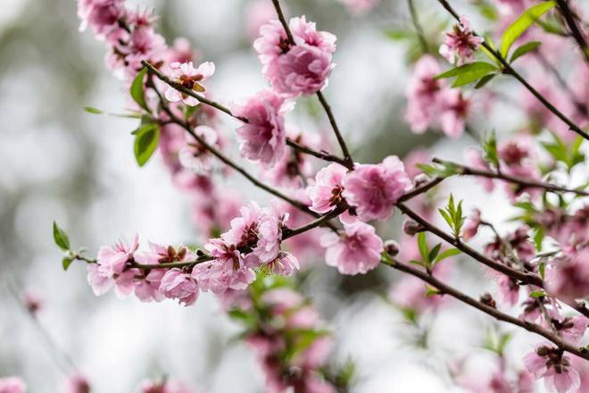 一個(gè)男人最大的愚蠢是把心機(jī)都用在了妻子身上