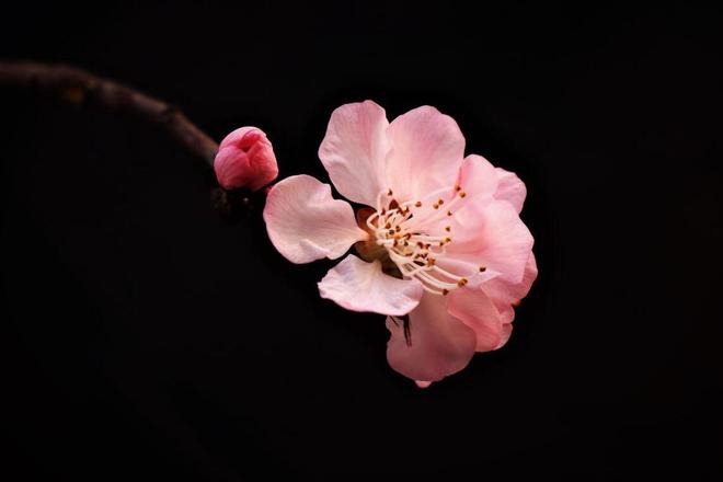 一個男人最大的愚蠢是把心機都用在了妻子身上(圖3)