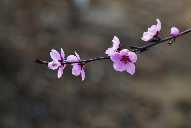 一個男人最大的愚蠢是把心機都用在了妻子身上(圖4)