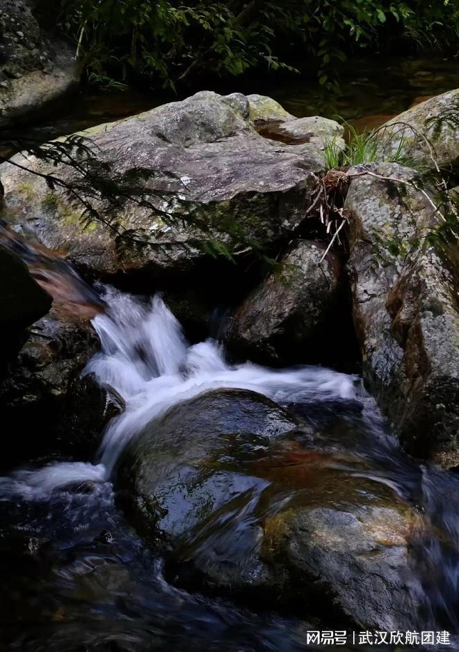 廬山尋寶：團隊協(xié)作大挑戰(zhàn)(圖3)