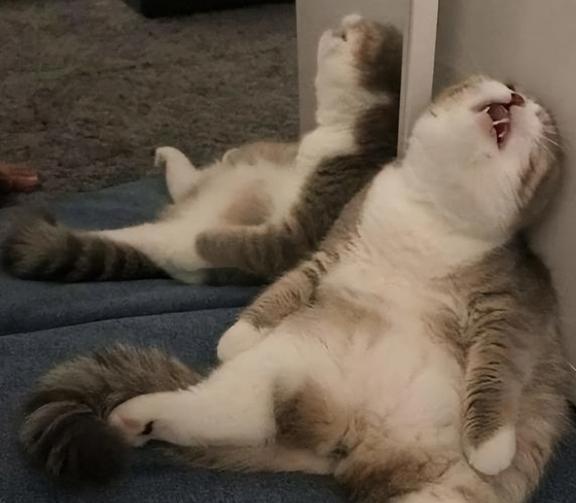 2022年最搞笑的幽默笑話段子大集錦笑話：哥你結婚挺晚啊