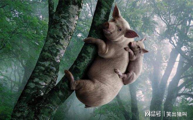 九游娛樂NineGame：每日一笑：校園笑話段子專治不開心