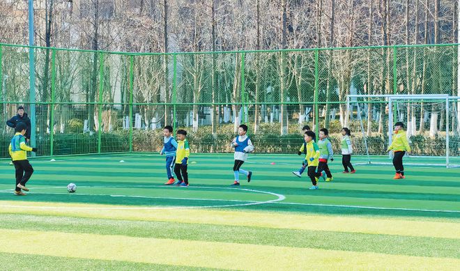 九游娛樂：發力青少年體育青島這樣做