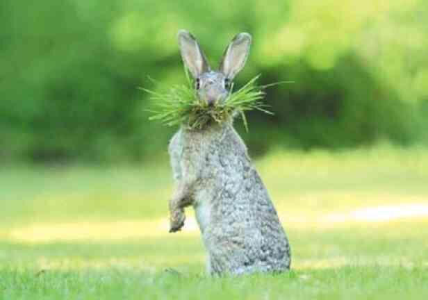 九游娛樂NineGame：成年人笑話！經(jīng)典爆笑段子誰(shuí)編的太有才了！