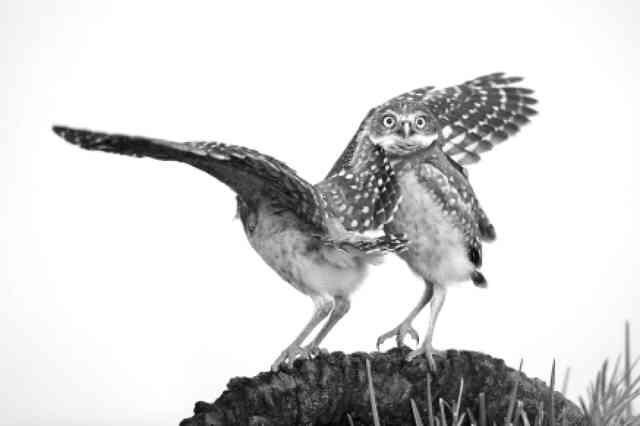 九游娛樂NineGame：成年人笑話！經典爆笑段子誰編的太有才了！(圖2)