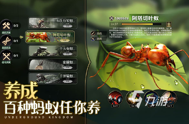 好玩的爆笑蟲子游戲合集2025有趣的爆笑蟲子游戲大全(圖6)