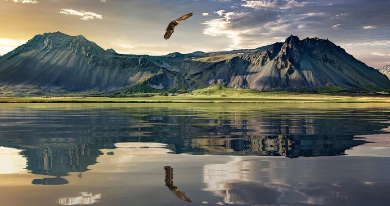 九游娛樂：10個幽默段子哈哈一笑煩惱全消(圖2)