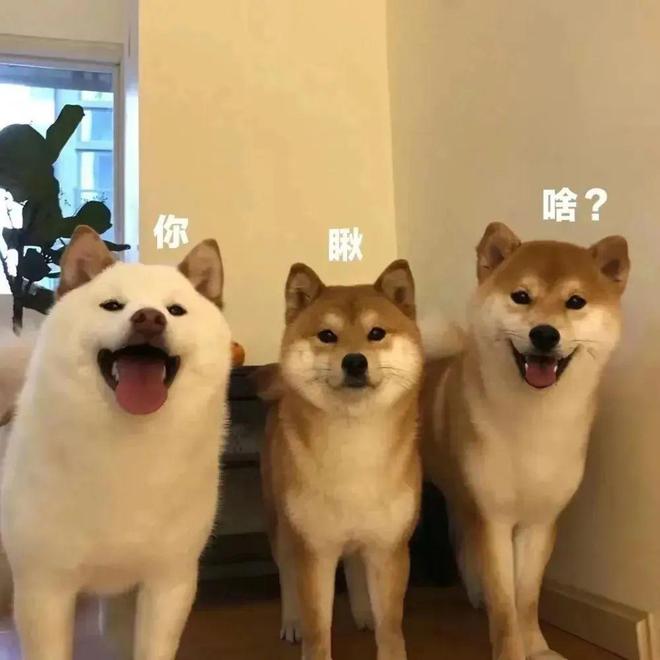 笑話段子：最新幽默段子精選一秒笑噴