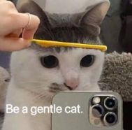 “灣灣奇葩新聞大賞！”看完網上分享的經歷哈哈哈真是一個比一個奇葩！(圖1)